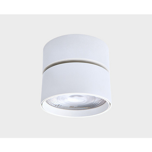 IT02-011 white 3000K светильник потолочный влагозащищенный