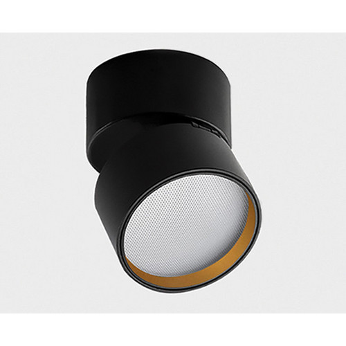 IT02-013 ring gold кольцо для светильника