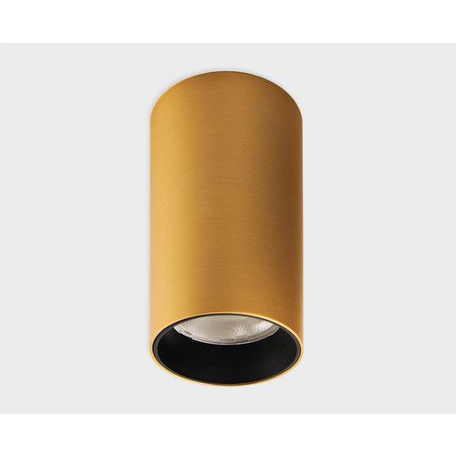 IT02-019 gold 3000K светильник потолочный