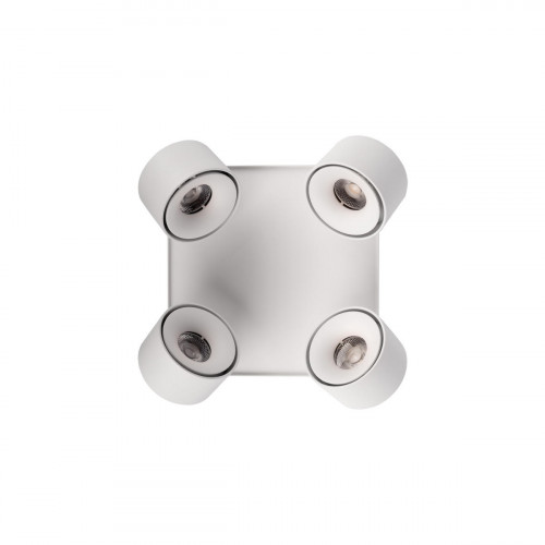 10326 White Накладной светильник LOFT IT Case