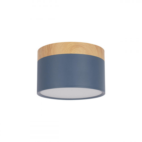 10162 Blue Накладной светильник LOFT IT Grape