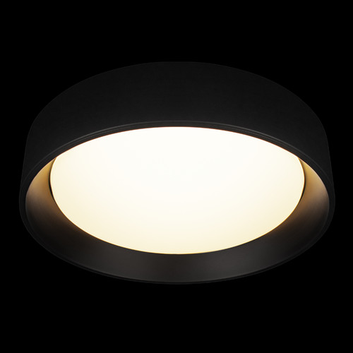 10202 BB  Потолочный светильник  LOFT IT Coin