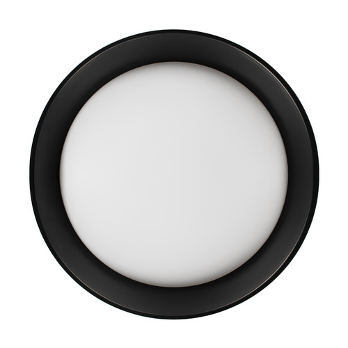 10202 BB  Потолочный светильник  LOFT IT Coin