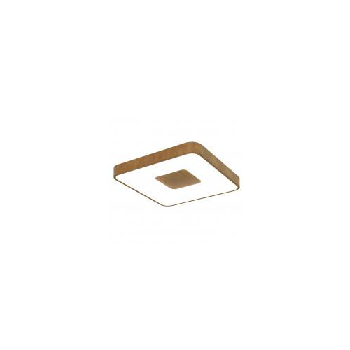 7921 Потолочный светильник COIN