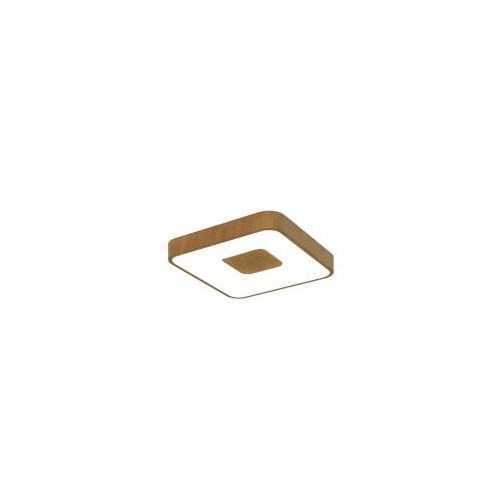 7924 Потолочный светильник COIN