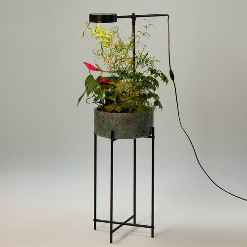 GoGrow Floor Lamp - черный
