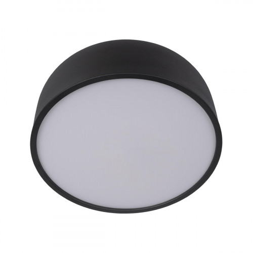 10201/350 Black Потолочный светильник LOFT IT Axel