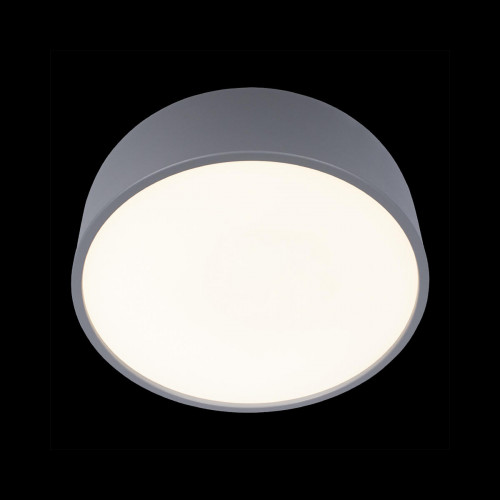 10201/350 Grey Потолочный светильник LOFT IT Axel