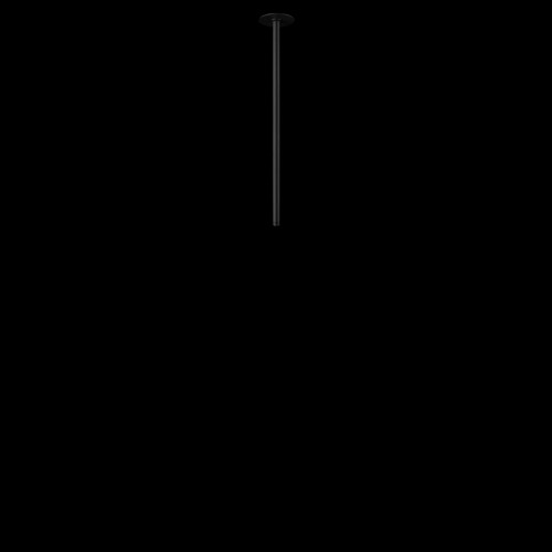 10359/500 Black Потолочный светильник LOFT IT Cane