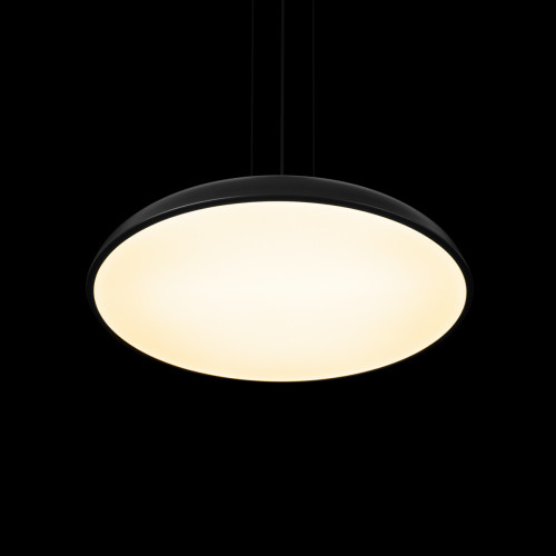10371P Black Подвесной светильник LOFT IT Dime