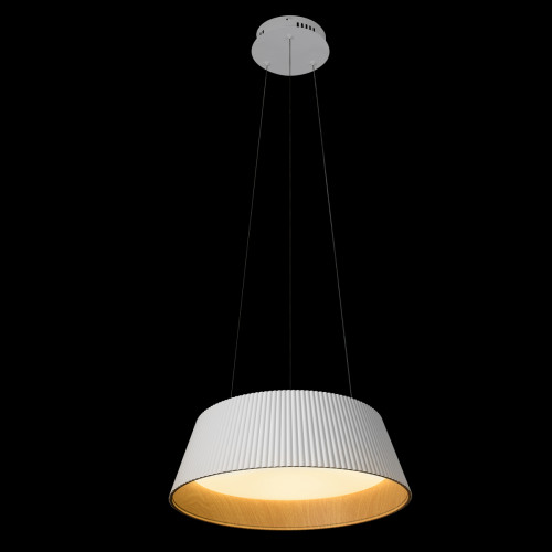 10224P White Подвесной светильник LOFT IT Evans