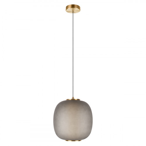 10425 Grey Подвесной светильник LOFT IT Hive