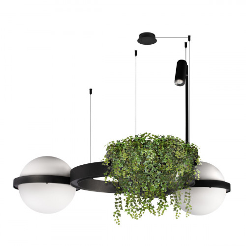 10121/2 Подвесной светильник LOFT IT Jardin