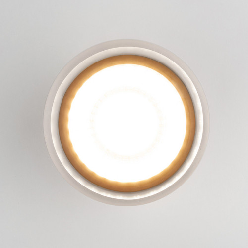 Уличный потолочный светильник Light LED 2107 IP54 35140/H белый