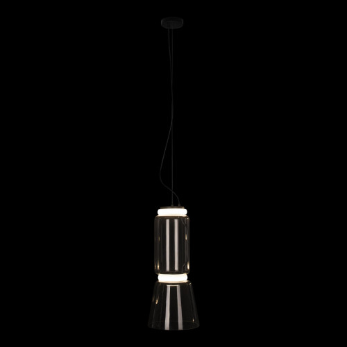 10193/S Подвесной светильник LOFT IT Noctambule