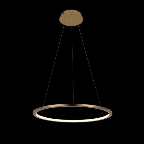10014M Подвесной светильник LOFT IT Ring