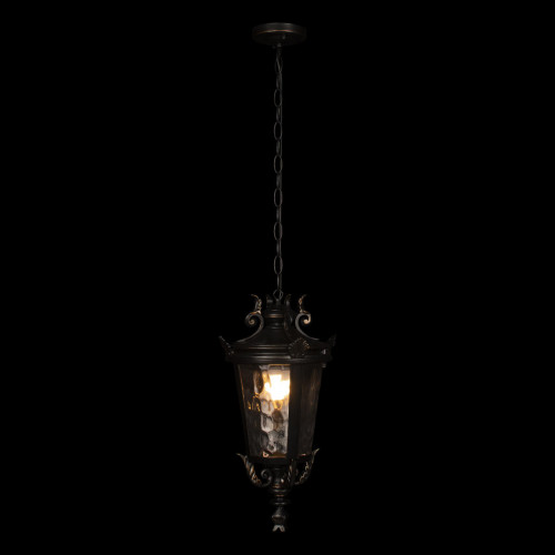 100003P Уличный подвесной светильник LOFT IT Verona