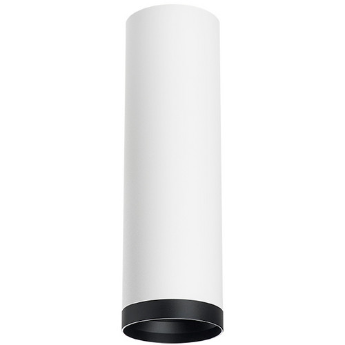 R64963487 Светильник RULLO HP16 (216496+203487)