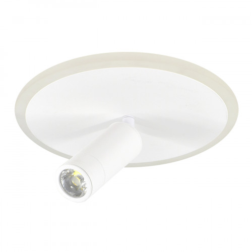 Escada 20046SMA/01 LED 20W 4000K белый