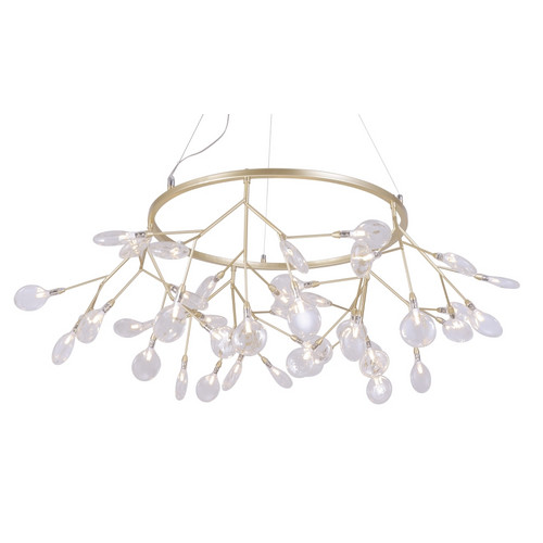 EVITA SP45 D GOLD/TRANSPARENT