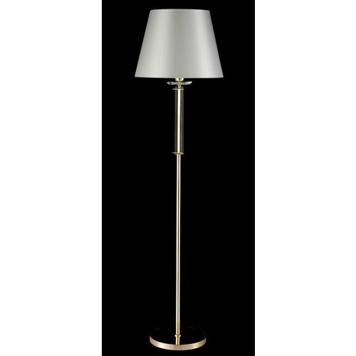 NICOLAS PT1 GOLD/WHITE