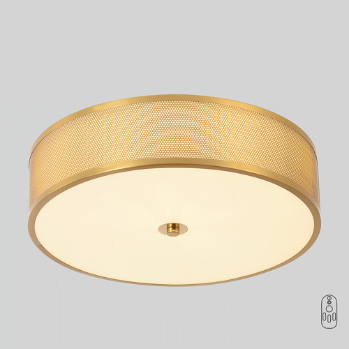 BUTTON PL32W LED