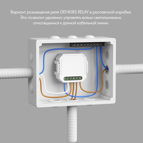 RL1003-DM/1 Одноканальное Wi-Fi реле-диммер 1 x 150 Вт