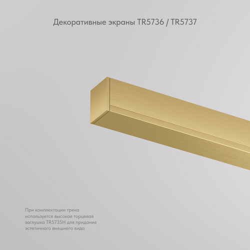 TR5736-SB Декоративная заглушка желоба трека SHINE BASE, 20см, сатинированная латунь, алюминий