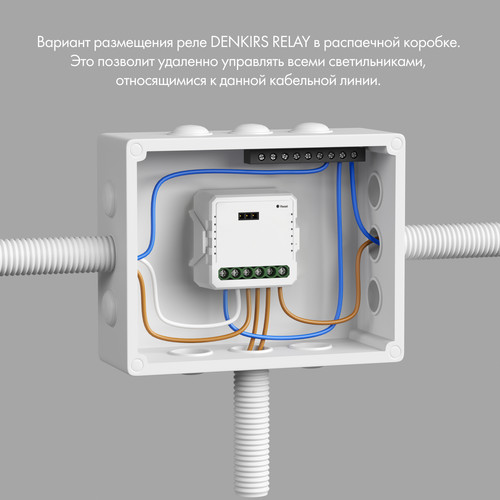 RL1001-SM Одноканальное Wi-Fi реле-выключатель 1 x 2300 Вт / 250 Вт для LED