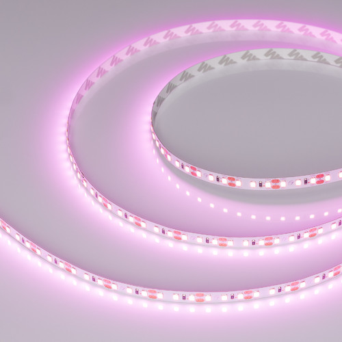 Светодиодная лента RT-A120-8mm 12V Pink (9.6 W/m, IP20, 2835, 5m) (Arlight, Открытый) (015897(2))
