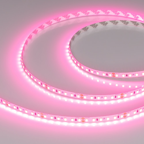 Светодиодная лента RT-A120-8mm 24V Pink (9.6 W/m, IP20, 2835, 5m) (Arlight, -) (043380)