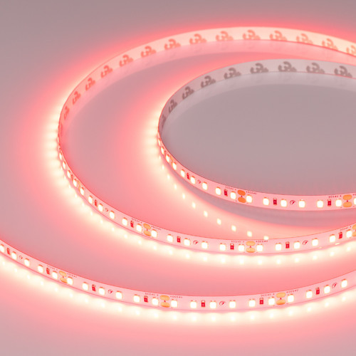 Светодиодная лента RT-A120-8mm 24V Scarlet (9.6 W/m, IP20, 2835, 5m) (Arlight, -) (043383)