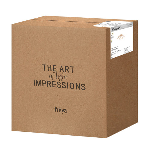 Люстра Freya FR5571CL-09G
