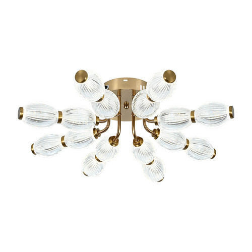 100012/8C LED*80W Brass